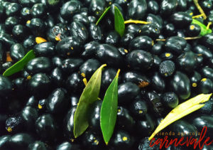 Scopri di più sull'articolo Le principali differenze tra olio d’oliva e altri oli vegetali