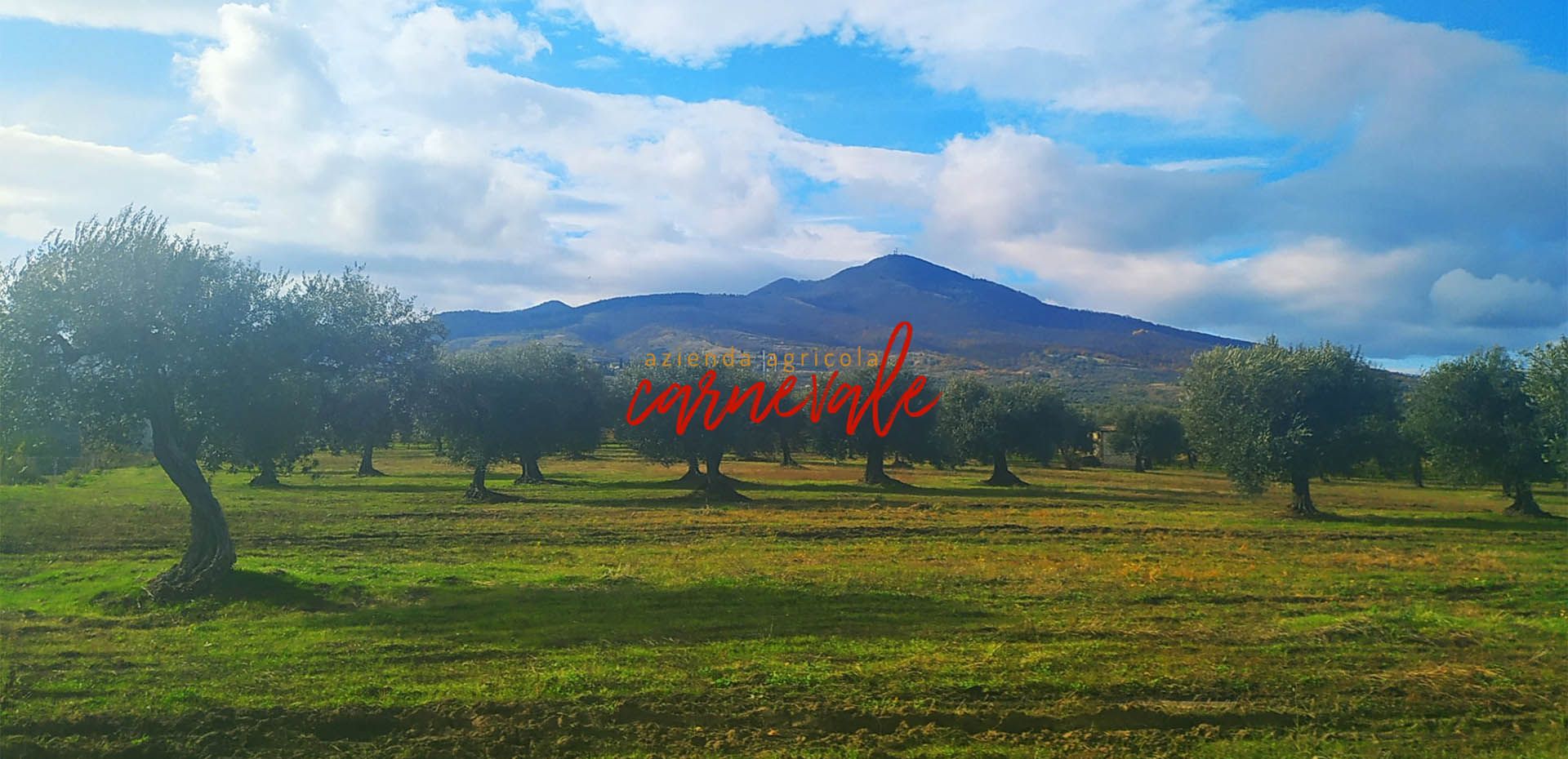 Scopri di più sull'articolo Il Vulture: territorio famoso per olio e vino